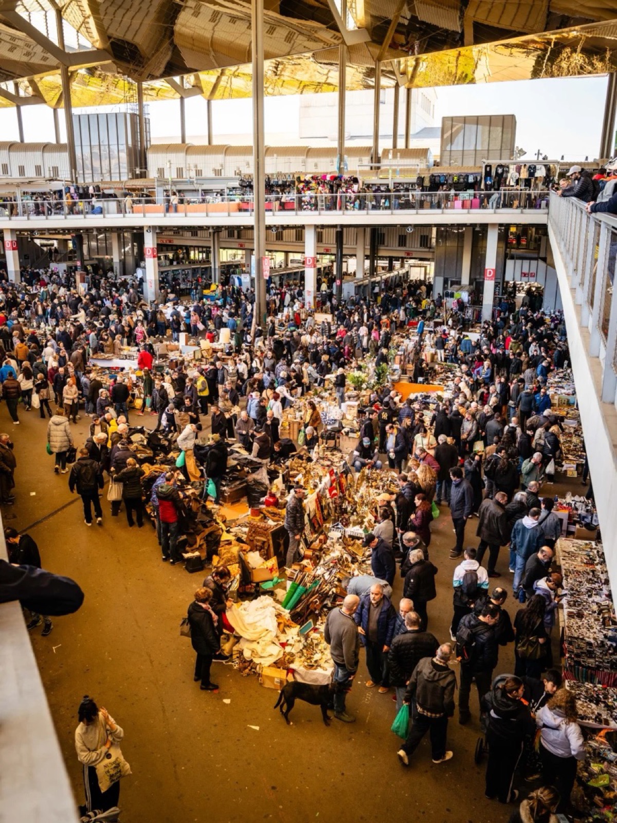 Mercat dels Encants in Barcelona